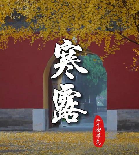 海外华人如何解锁《4K看节气》？3招解决地区限制烦恼