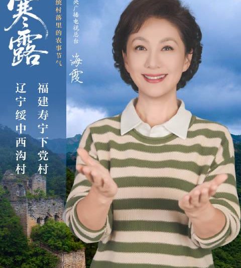 海外华人必看！三步教你解锁国内热门影视综艺，不再错过任何精彩内容