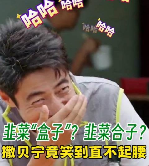 撒贝宁笑到扶墙！四川韭菜盒子引发全网热议，原来我们都误会了