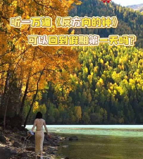 海外华人看不了国内视频？这些方法帮你破解地区限制烦恼