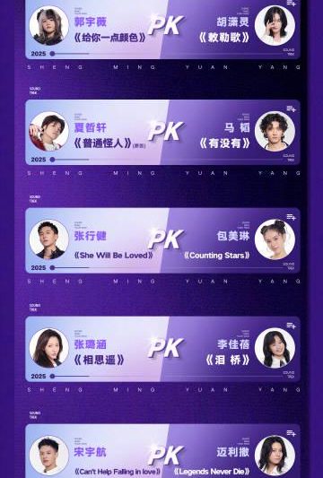 海外华人轻松解锁国内影音限制：告别卡顿畅享热门节目