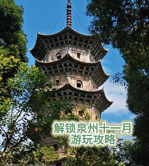 海外华人必看！三步教你解锁国内热播剧，追剧不再卡顿