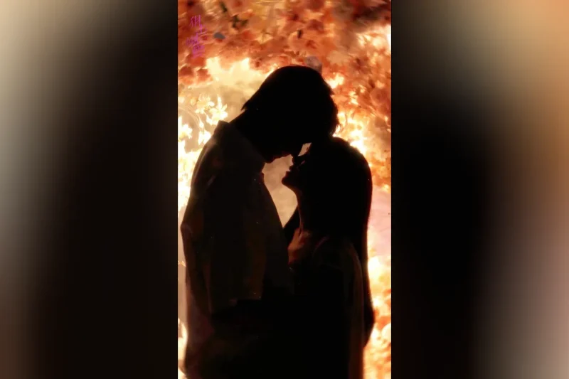 海外华人必看：如何突破地区限制观看《狙击蝴蝶》等热门国产剧集