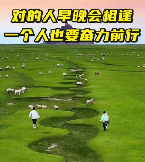 海外华人看不了央视频？3招教你轻松解锁国内音视频资源