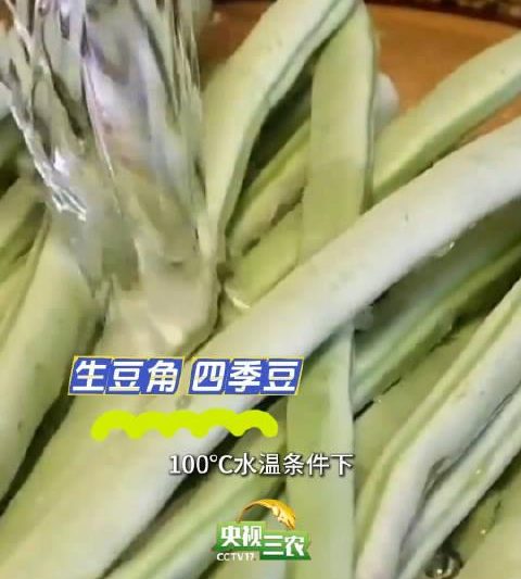 海外华人必看！轻松解决国内影音节目地区限制与播放卡顿的实用技巧