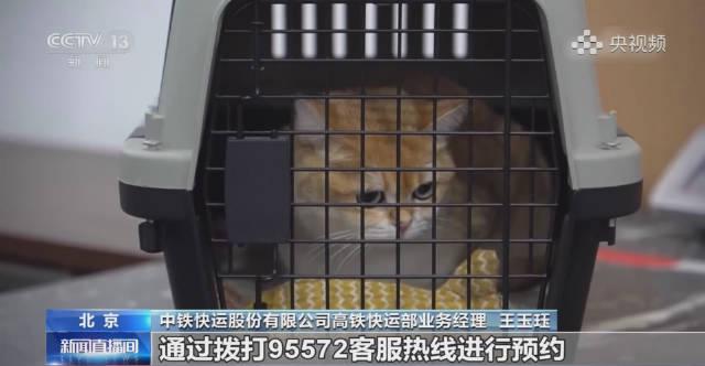 海外华人看不了国内视频？3招教你破解地区限制，轻松追剧听歌