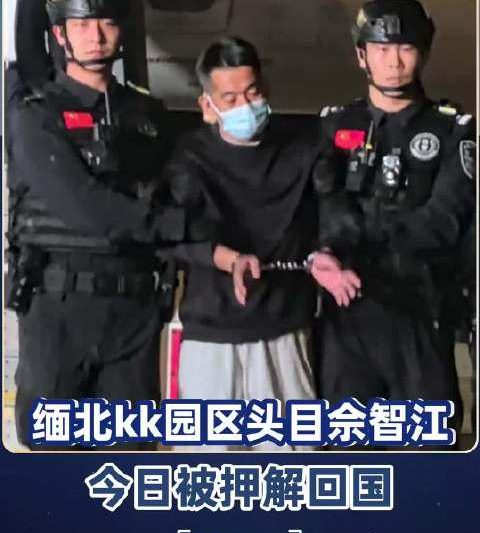 海外追剧党哭了？缅北诈骗头目落网背后，那些年我们错过的国产好剧！