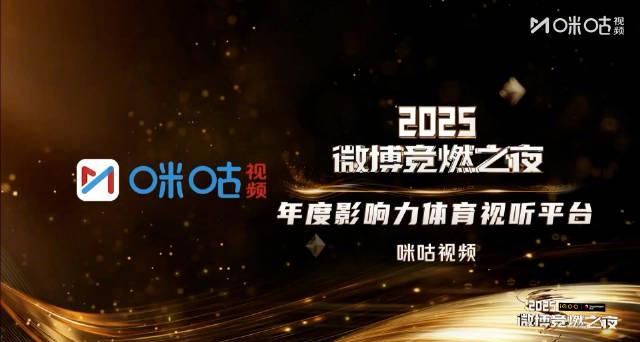 海外追剧党福利:3招教你轻松解锁国内影视资源限制