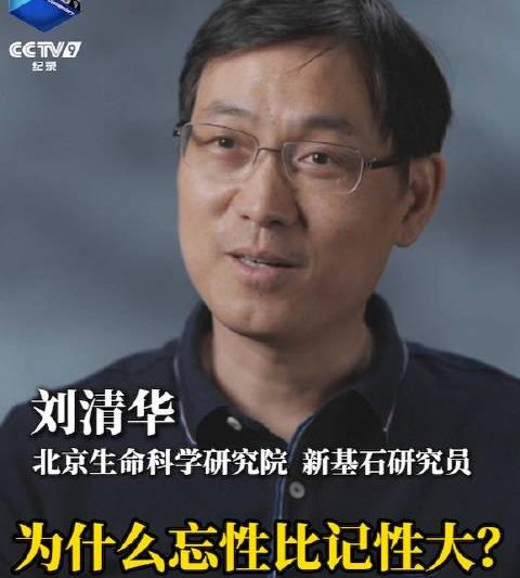 海外华人必看：破解影视音乐地区限制，告别卡顿烦恼的实用指南