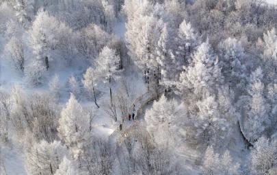 海外华人看不了《歌游内蒙古》?3招教你解锁国内热门综艺,冰雪童话不再错过!