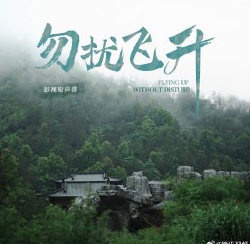 海外华人轻松解锁国内影视限制,畅享《勿扰飞升》等热门内容