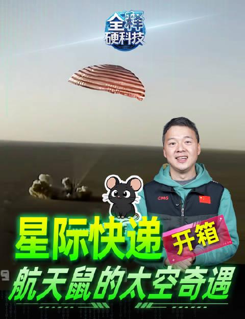 太空出差变加班?揭秘小鼠航天员的意外收获