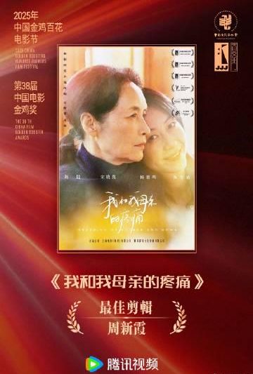 海外华人如何解决国内影视音乐综艺地区限制？完整教程帮你告别播放卡顿困扰