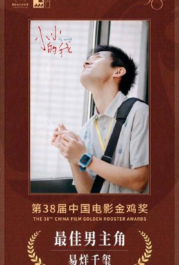 易烊千玺斩获金鸡影帝引热议，海外华人如何突破地域限制观看获奖作品