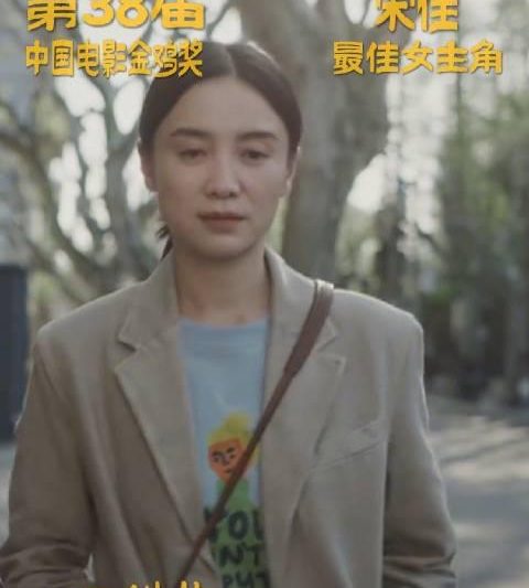 海外华人如何突破地区限制观看宋佳金鸡封后作品及国内热门影视