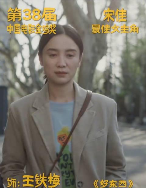 海外华人如何突破地区限制观看宋佳金鸡封后作品及国内热门影视