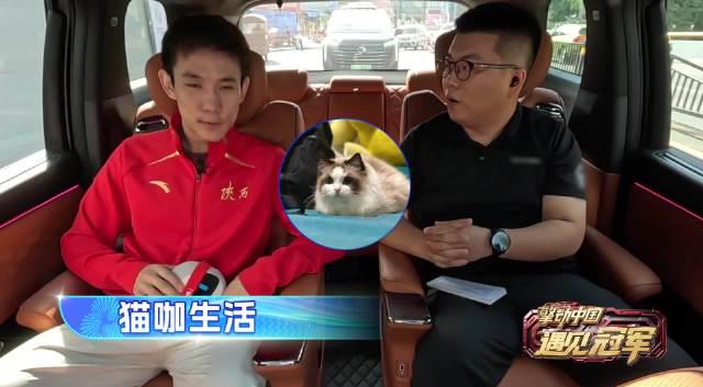 海外华人必看!解锁国内影视综艺地区限制,畅享杨昊与布偶猫的治愈之旅