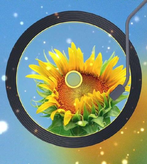 海外党福音！3招破解地区限制，轻松追《大胆奔向属于你的阳光》