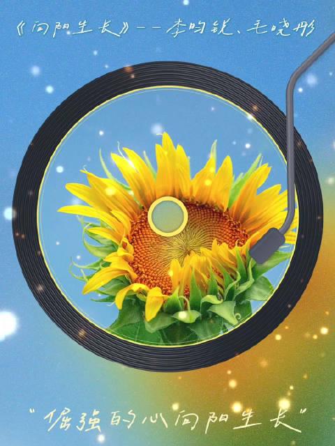 海外党福音!3招破解地区限制,轻松追《大胆奔向属于你的阳光》