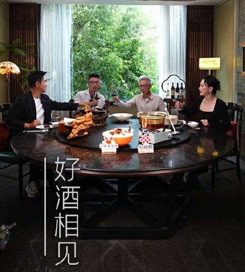 海外华人看不了国内综艺？三招教你轻松解锁《好久不见》等热门节目