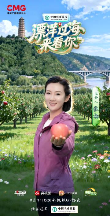 海外华人追剧难?3招教你解锁《漂洋过海来看你》等国内热门综艺