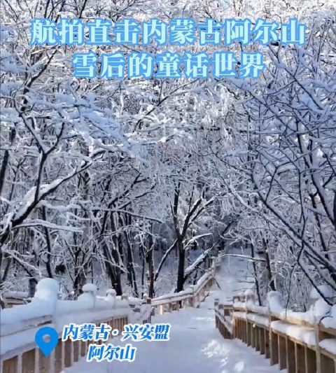 海外华人如何解锁《歌游内蒙古》？3招解决地区限制，畅享大兴安岭冬日仙境