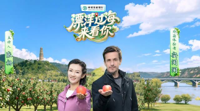 海外华人追剧不再愁!实用技巧破解地区限制,轻松观看国内热门影视综艺