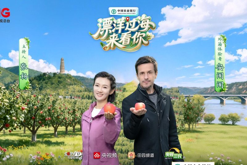 海外追剧卡顿？先来看看这颗延安苹果如何惊艳世界！