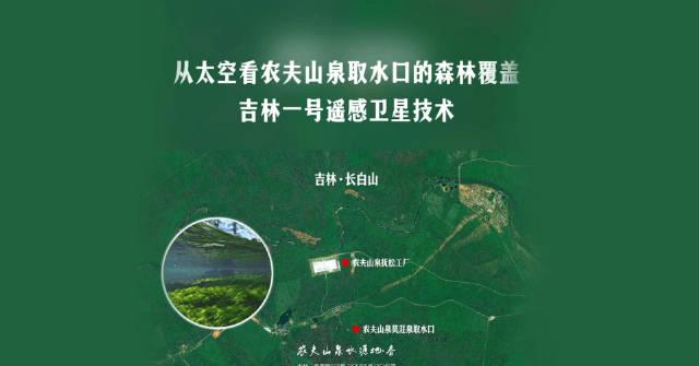 太空视角下的农夫山泉取水口:卫星实拍揭示森林馈赠的纯净水源
