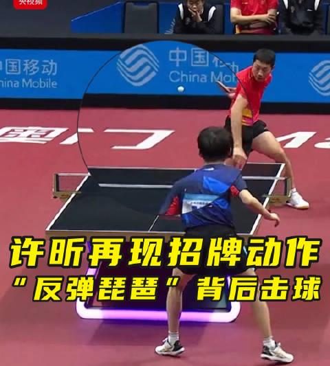 许昕再现神技’反弹琵琶’！背后击球惊艳全场，网友直呼看呆了