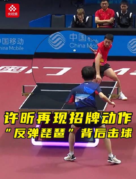 许昕再现神技'反弹琵琶'!背后击球惊艳全场,网友直呼看呆了