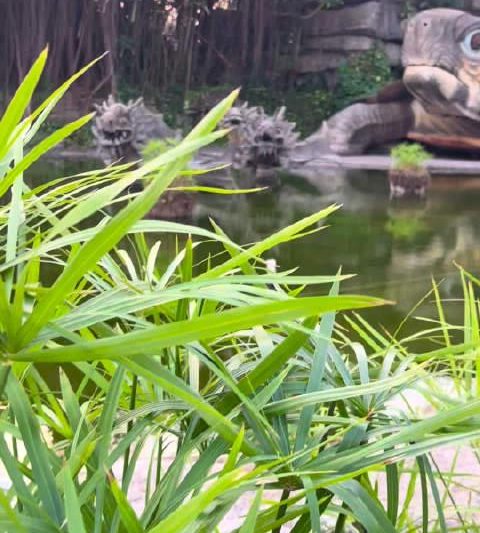 海外追剧党必看！三步教你解锁国内影视资源限制