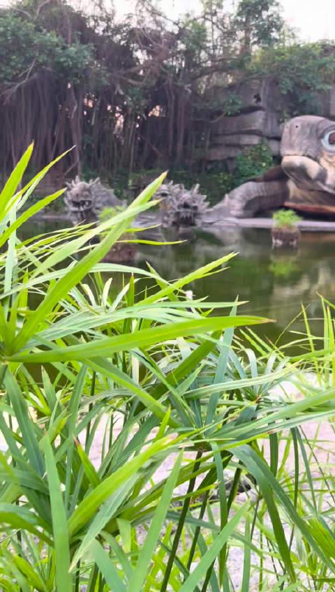 海外追剧党必看!三步教你解锁国内影视资源限制