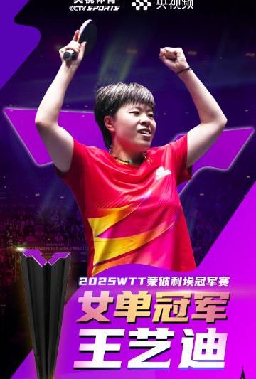 海外华人追剧遇阻？王艺迪夺冠背后的版权限制与解决方案全解析