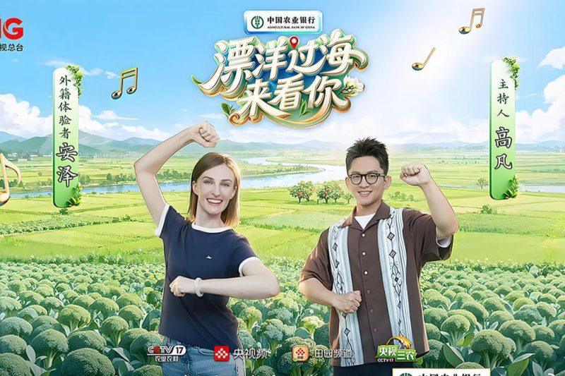 海外华人必看！如何解锁《漂洋过海来看你2》武强篇完整版，告别地区限制烦恼