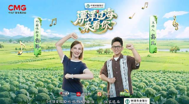 海外华人看不了《漂洋过海来看你》？3招教你破解地区限制追剧无忧