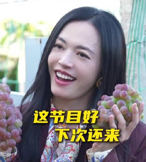 海外华人如何突破地域限制，重温国内热门影视综艺节目不再卡顿