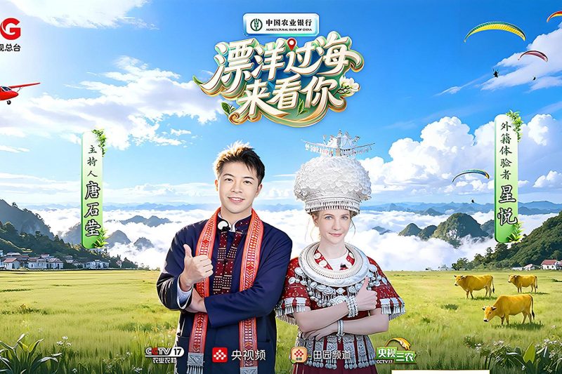 海外华人必看！轻松解锁国内热门综艺《漂洋过海来看你》完整观看指南