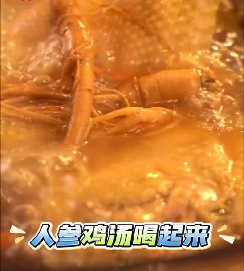 海外华人看不了《人参鸡汤》？3招教你破解地区限制，暖心视频看到爽！