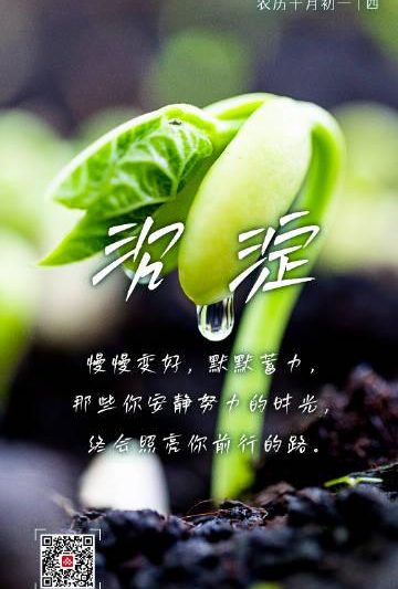 海外华人追剧必看：3个技巧解决地区限制，轻松看遍国内热门影视