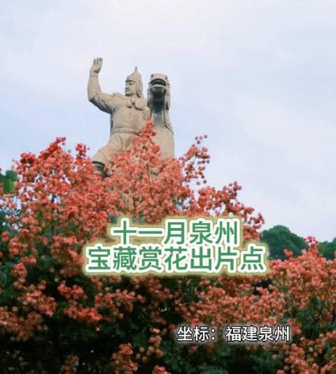 泉州初冬拍照攻略：这5个绝美机位随手一拍都是电影大片