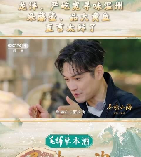 海外追剧卡成PPT？三招教你解锁国内热门综艺，告别地区限制！