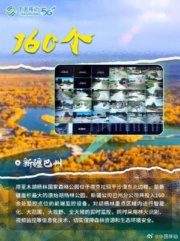 海外华人追剧遇阻?这些方法帮你突破地区限制,畅享国内影视资源