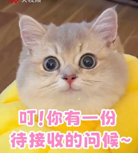 海外党福音：3招教你破解影视音乐地区限制，告别卡顿烦恼！