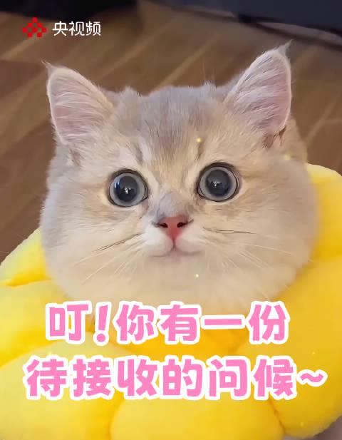 海外党福音:3招教你破解影视音乐地区限制,告别卡顿烦恼!