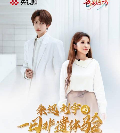 海外华人追剧遇阻怎么办？朱迅刘宇宣纸翻车现场教你突破地域限制