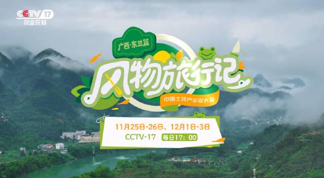 海外华人看国内节目不再难！手把手教你解锁影视音乐地区限制