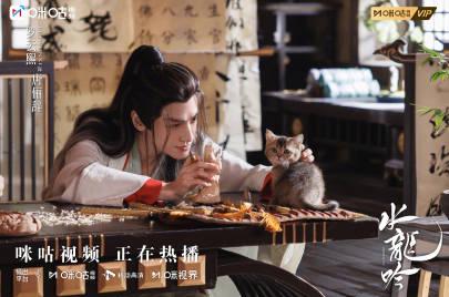 海外华人必看!《水龙吟》完美收官,罗云熙演绎江湖侠义引热议