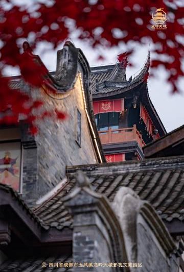 海外华人看过来！三步教你解锁国内热门影视资源，再也不怕错过《水龙吟》这样的国风大制作