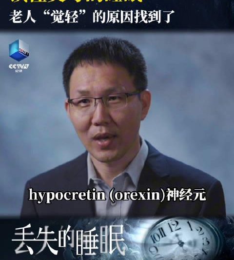 海外追剧党必看！3招教你破解地区限制，轻松看遍国内热门综艺
